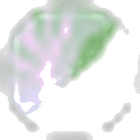 Cabbage logo