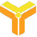 Myteamcoin logo