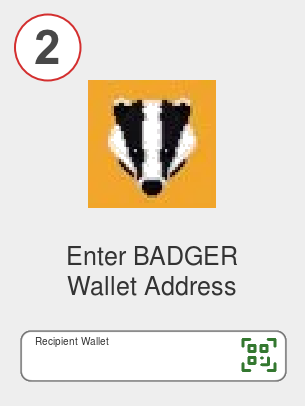Exchange sol to badger - Step 2