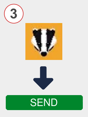 Exchange badger to dot - Step 3