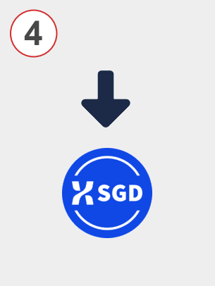 Exchange ada to xsgd - Step 4