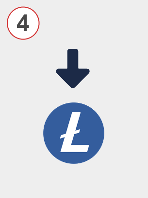 Exchange matic to ltc - Step 4